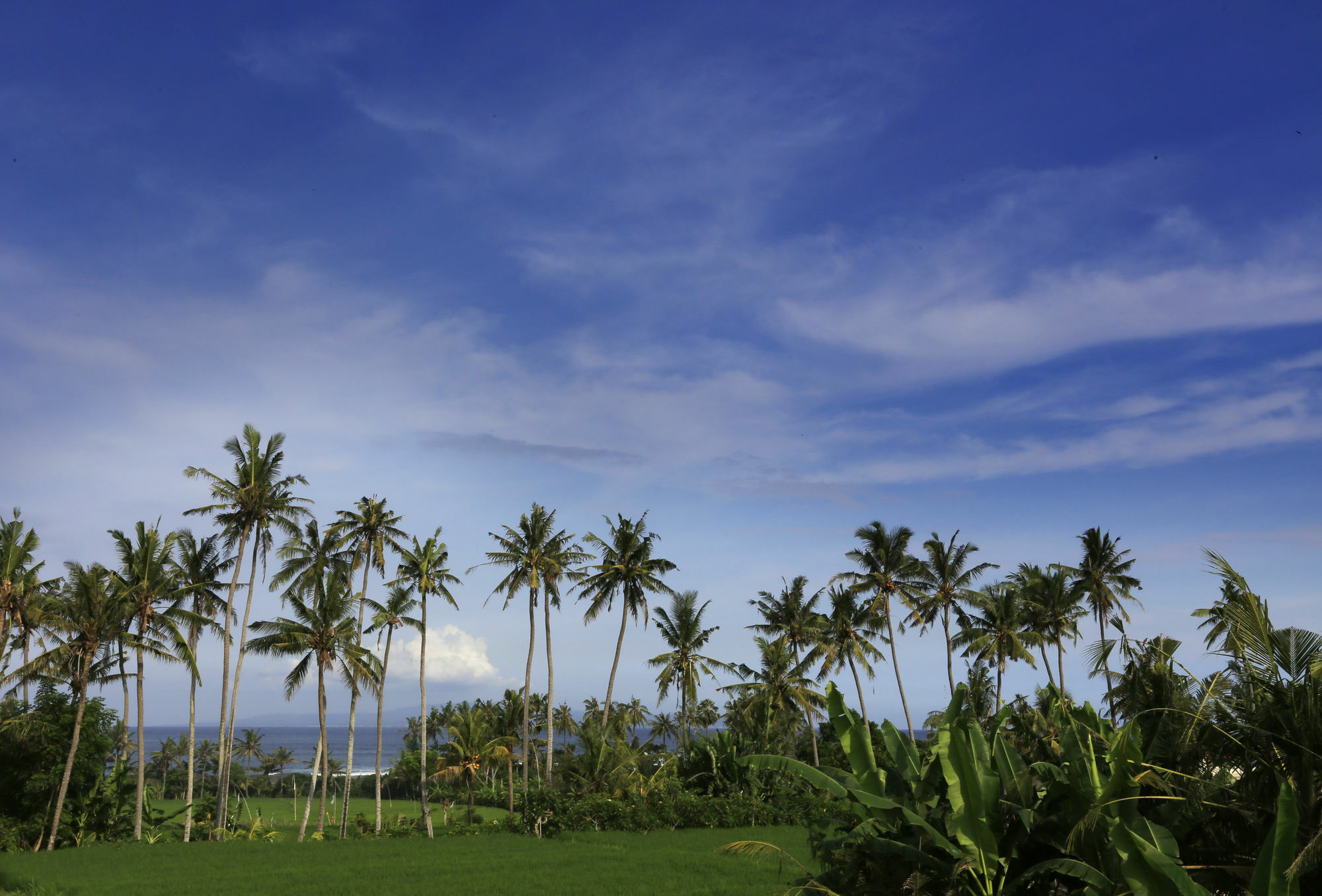 The Garga Beach Villas Ketewel Exteriör bild